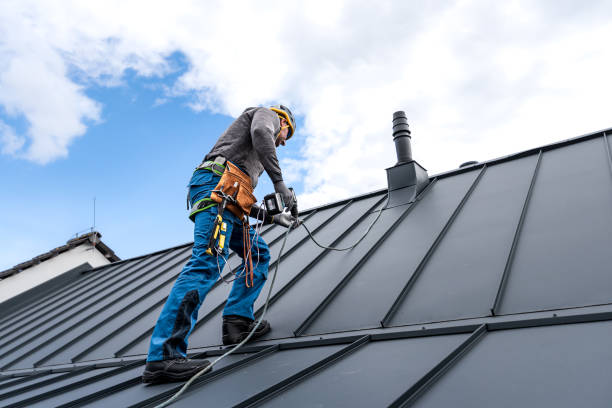 Best Roof Moss and Algae Removal  in De Leon Springs, FL
